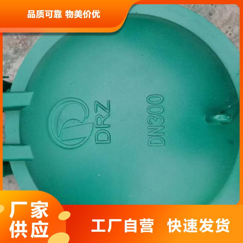 拍门钢拍门质优价保