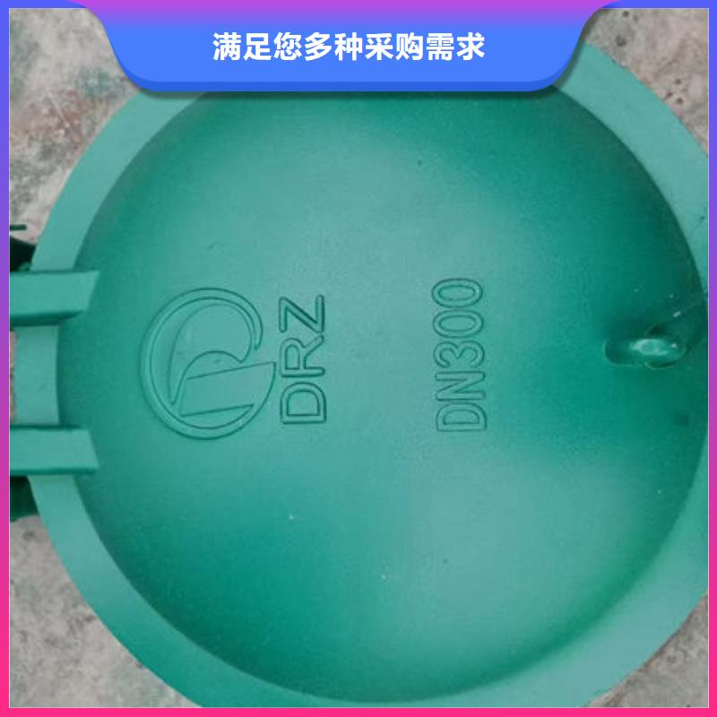 拍门钢制拍门追求细节品质