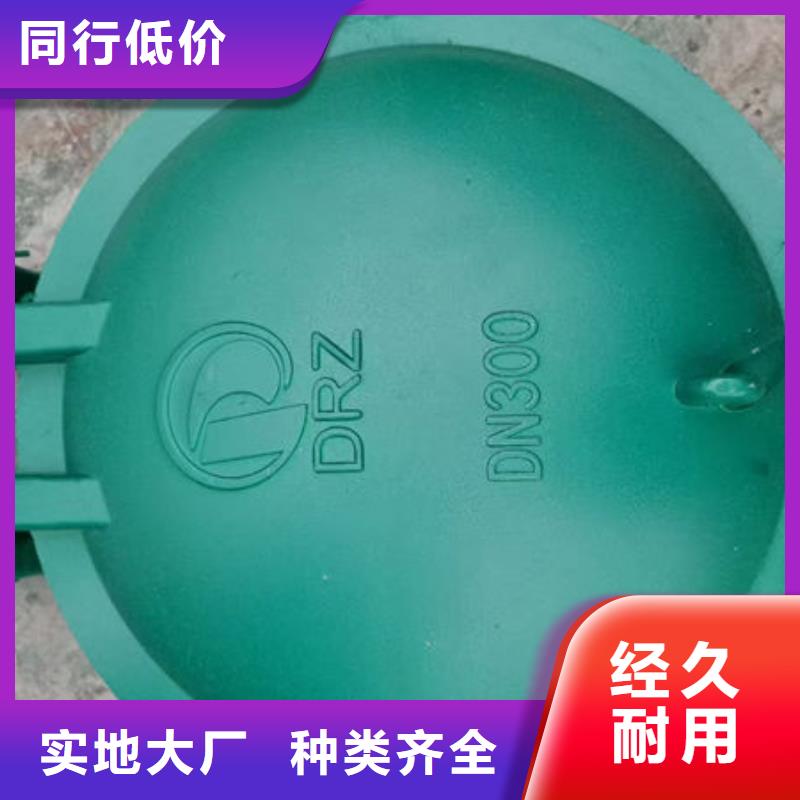 拍门钢制拍门源厂直销