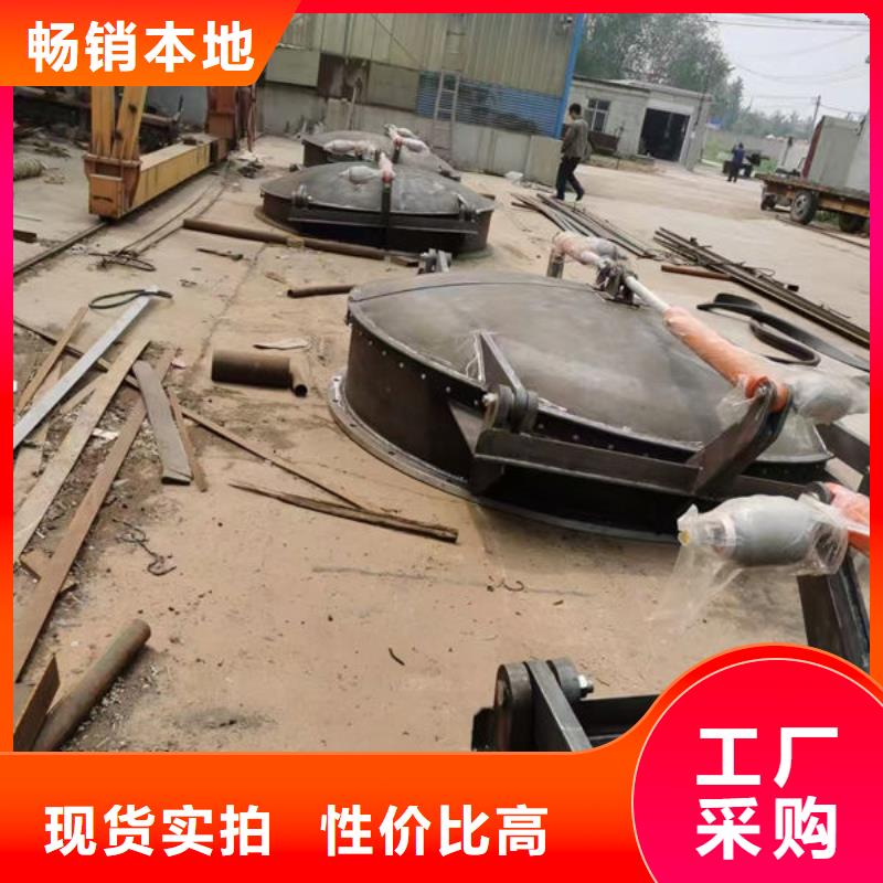 拍门钢制拍门追求细节品质