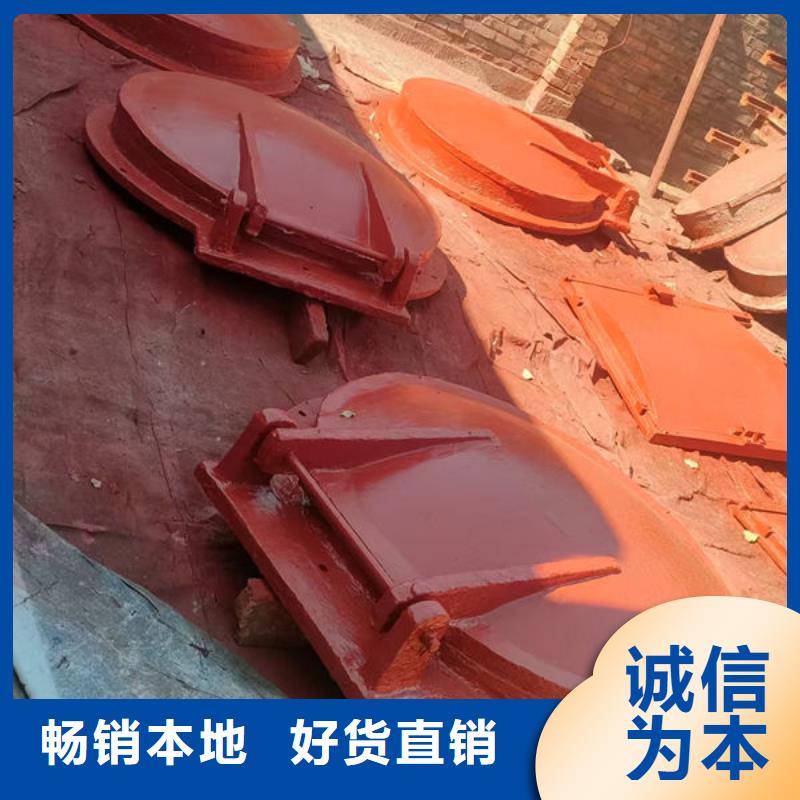 拍门,防倒灌拍门本地配送
