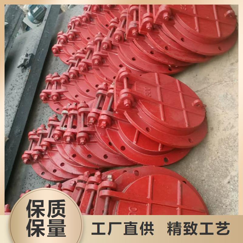 拍门_圆拍门厂家直销值得选择