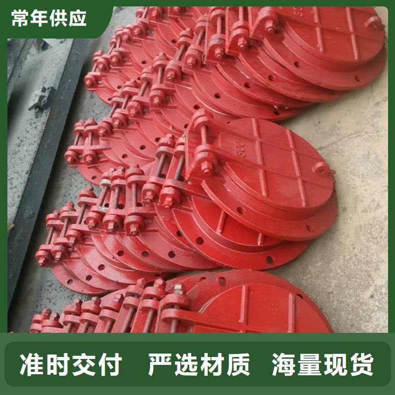 拍门-钢制拍门厂家直营