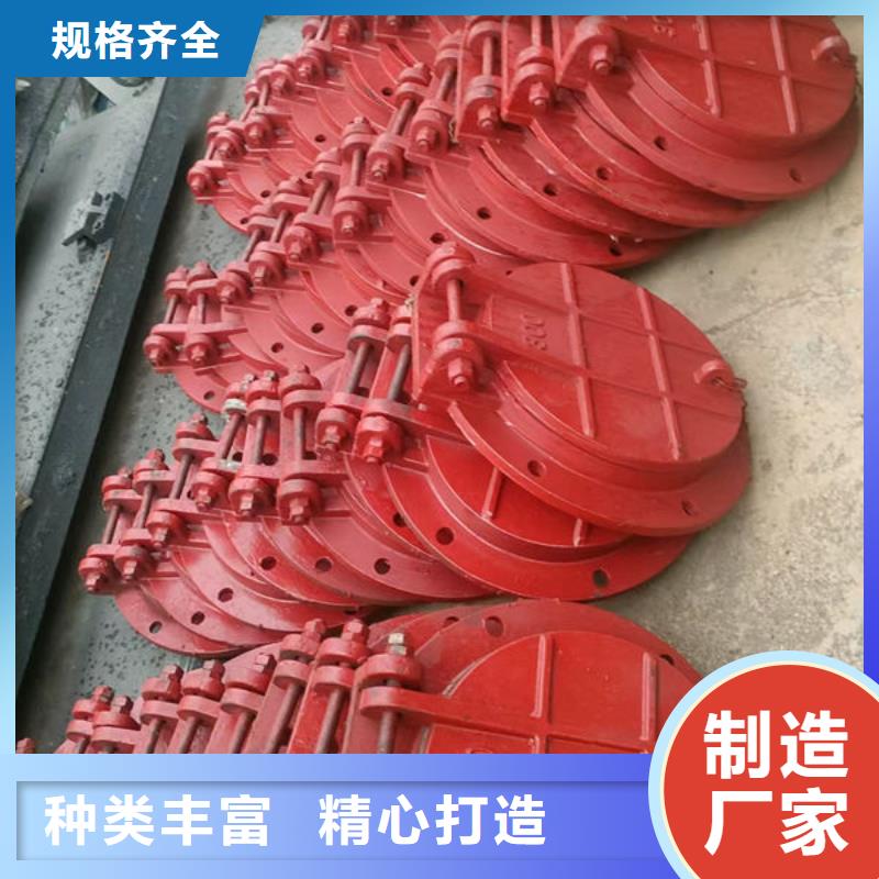 拍门复合材料拍门精工制作