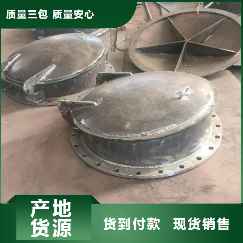 拍门球墨铸铁拍门规格齐全