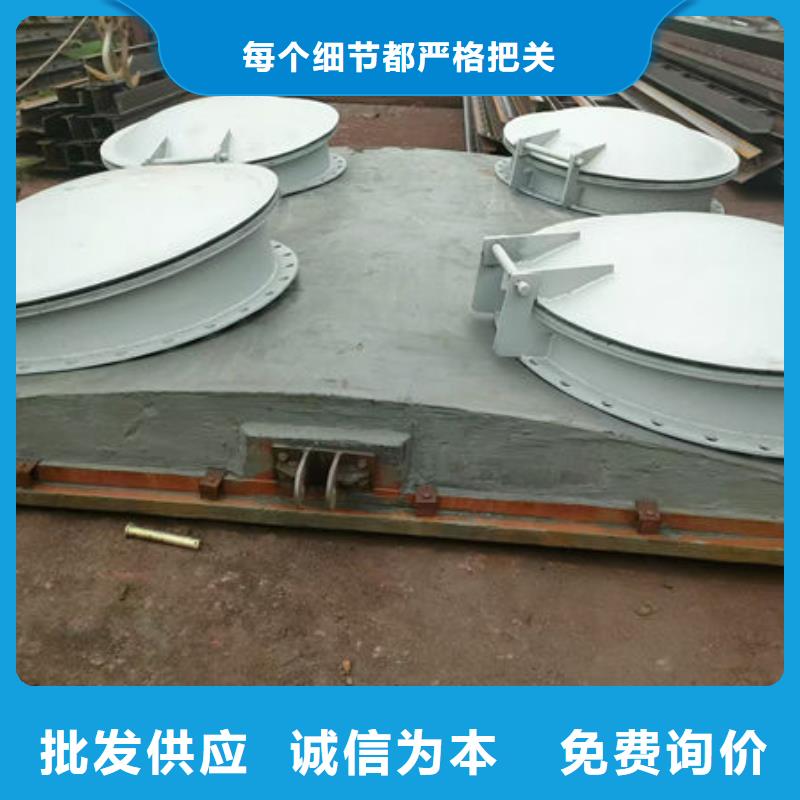 拍门-钢制拍门选择我们选择放心