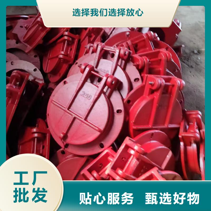 拍门防倒灌拍门优良材质