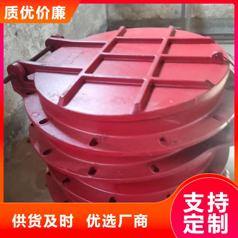 拍门球墨铸铁拍门品质值得信赖