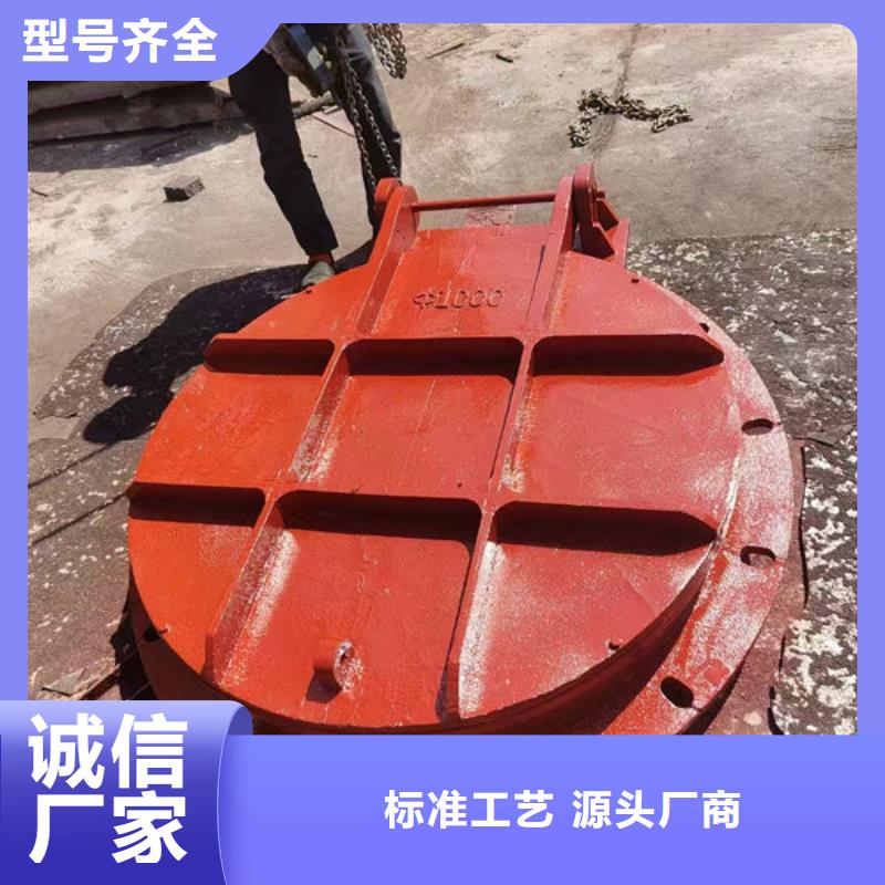 拍门,球墨铸铁拍门主推产品