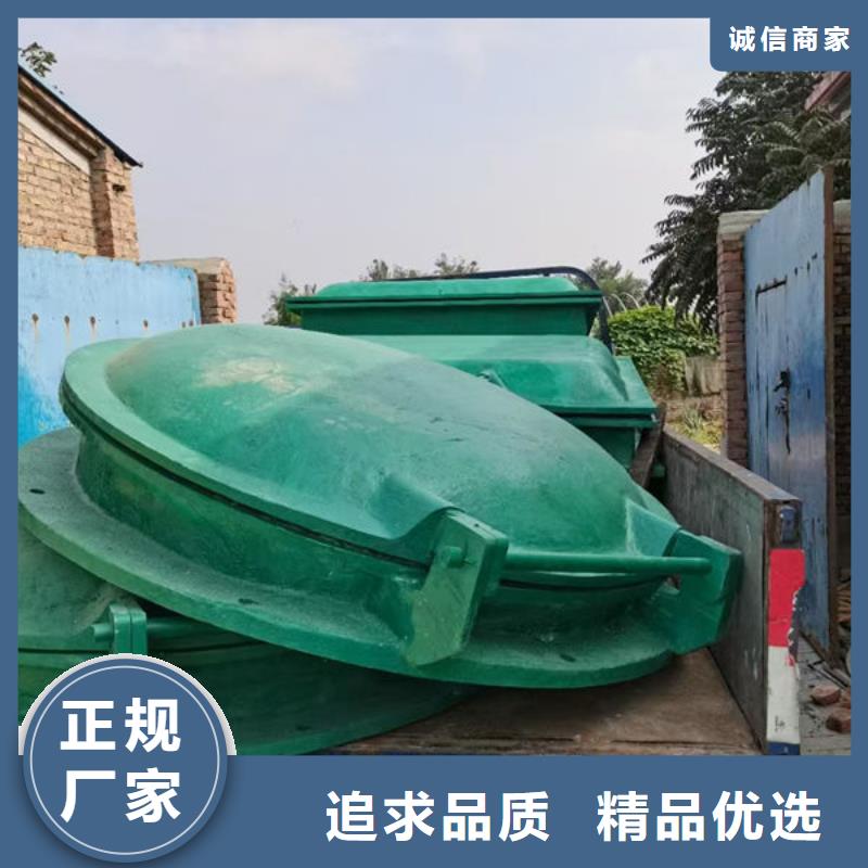 拍门,钢制拍门口碑好实力强
