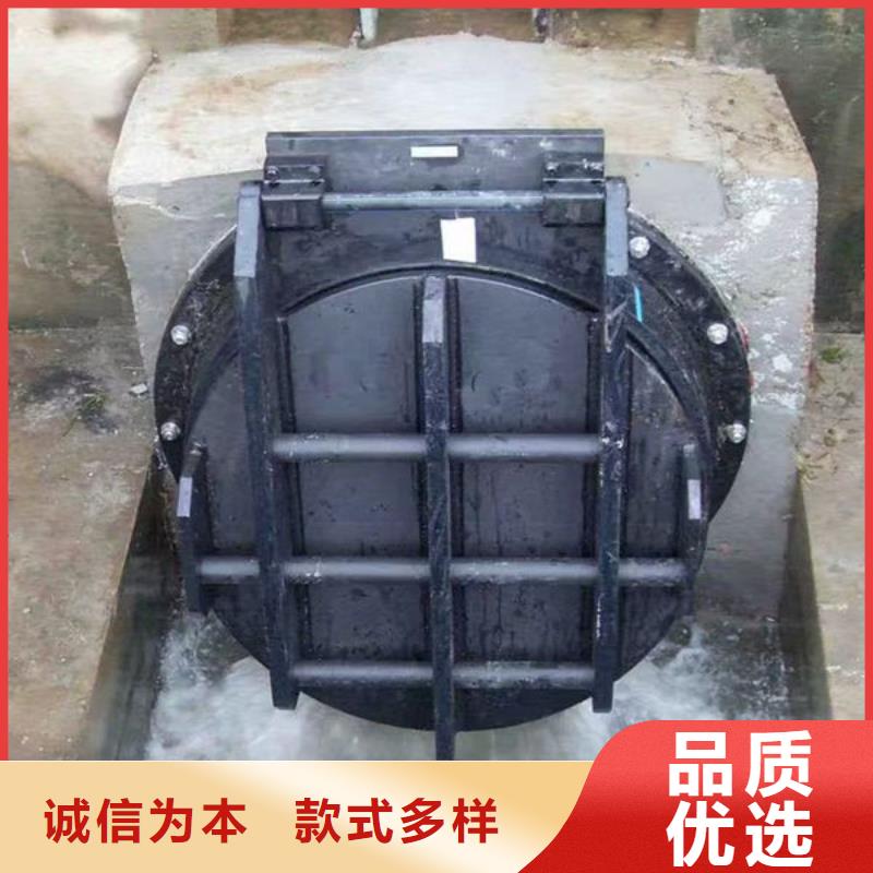 拍门不锈钢拍门厂家技术完善