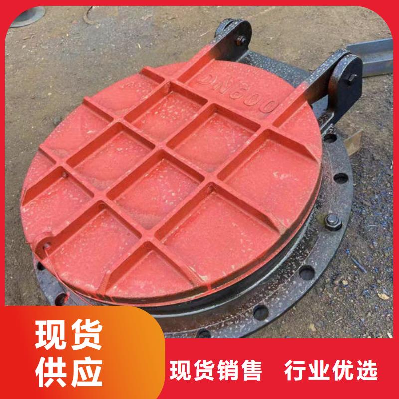 拍门钢拍门质优价保