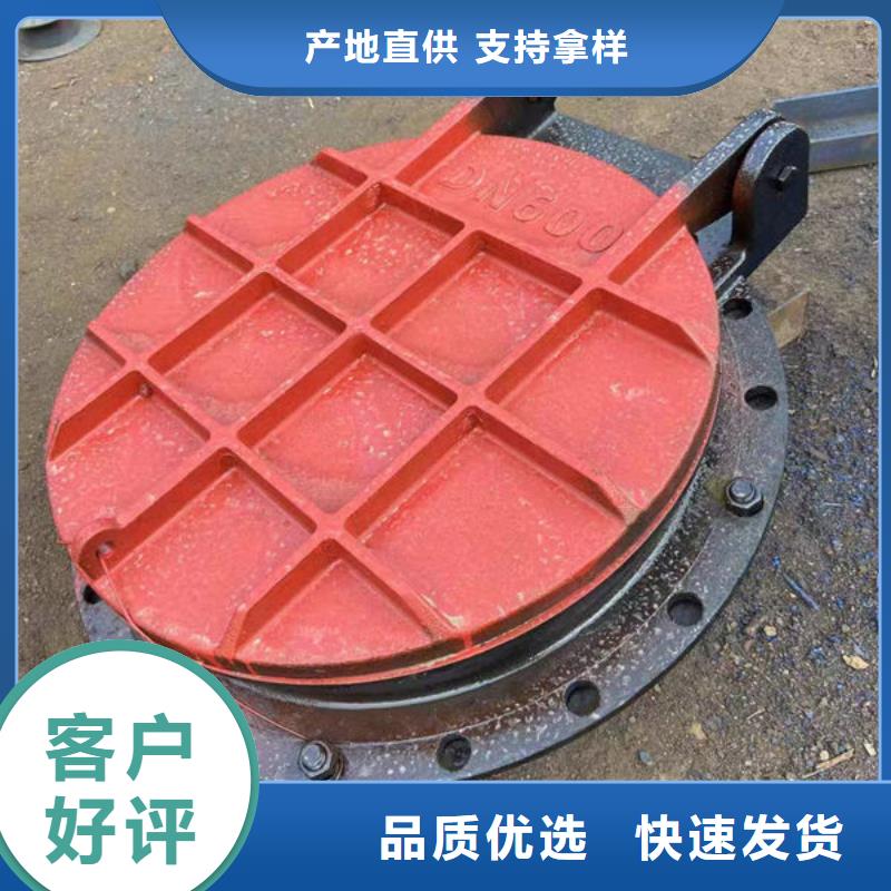 拍门铸铁拍门联系厂家