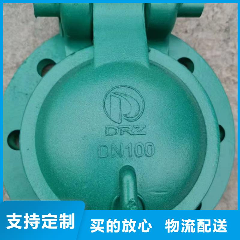 拍门球墨铸铁拍门品质值得信赖
