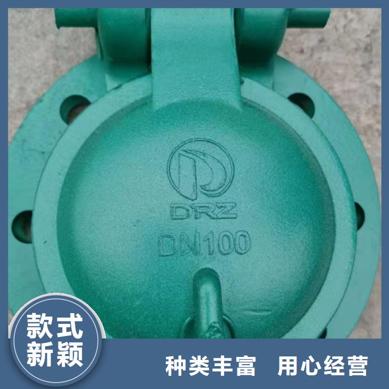 拍门铸铁拍门多年厂家可靠