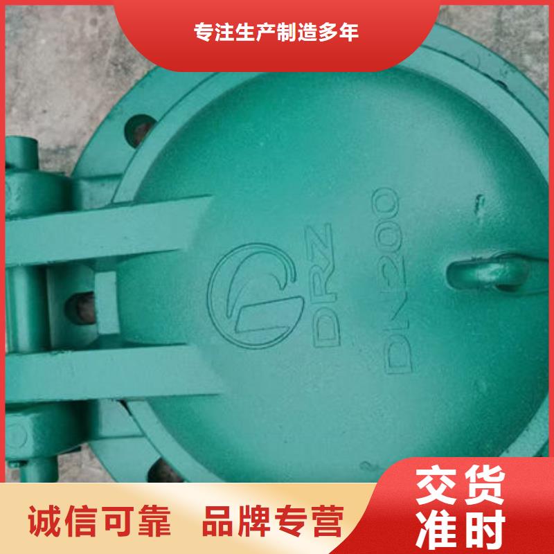 拍门不锈钢拍门欢迎来电咨询