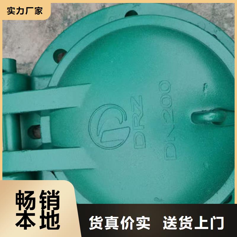拍门_拍门款式新颖
