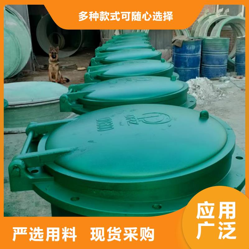 拍门球墨铸铁拍门就近发货