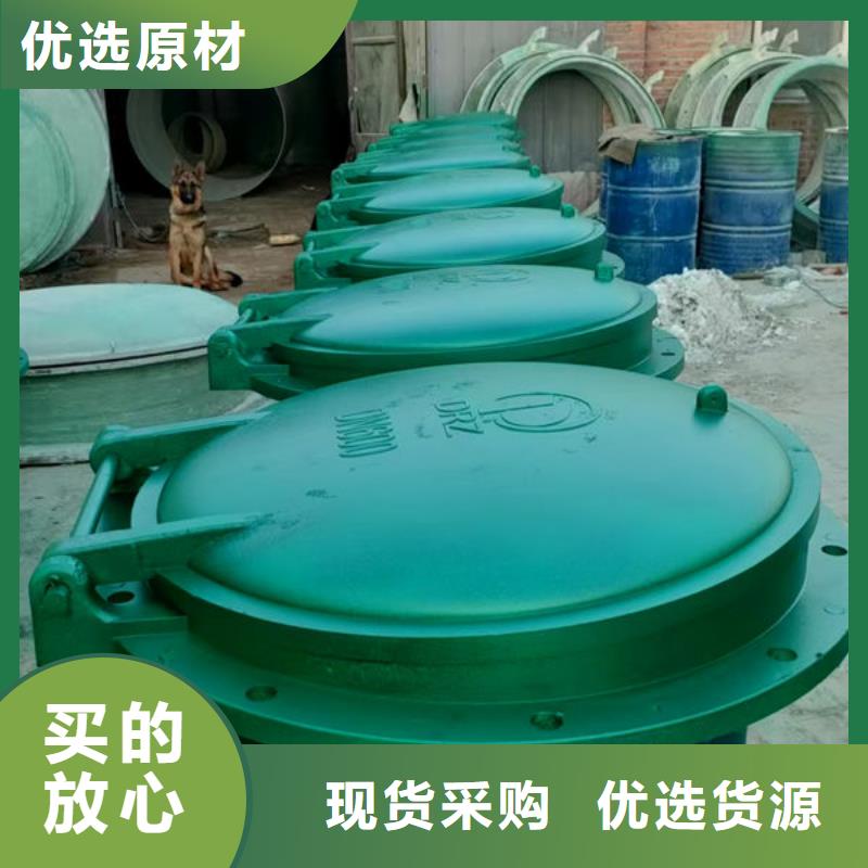 拍门钢制拍门精工细作品质优良