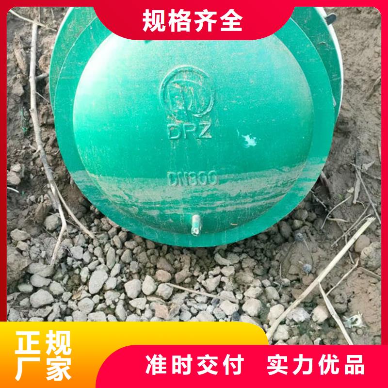 拍门复合材料拍门源头厂商