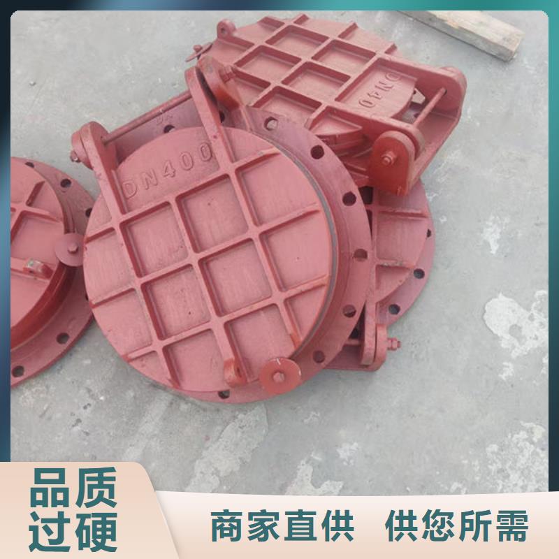 拍门球墨铸铁拍门规格齐全