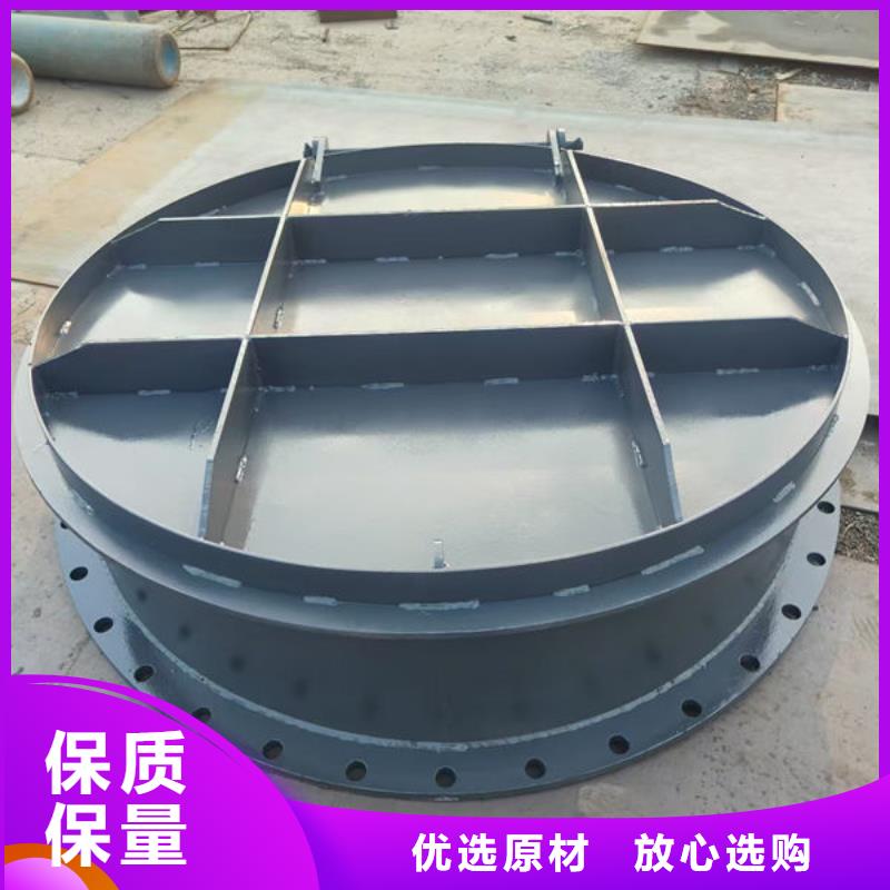 拍门球墨铸铁拍门规格齐全