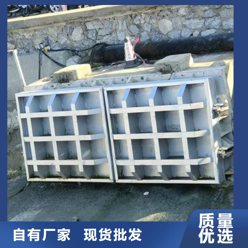 拍门球墨铸铁拍门规格齐全