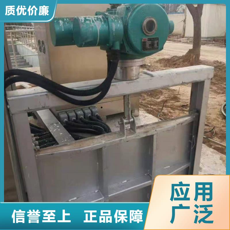 不锈钢闸门一体式不锈钢闸门高性价比
