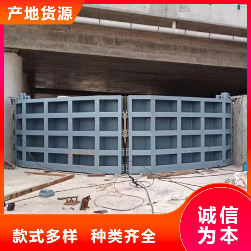 不锈钢闸门捞污珊精选厂家好货