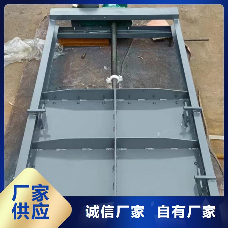 不锈钢闸门捞污珊保障