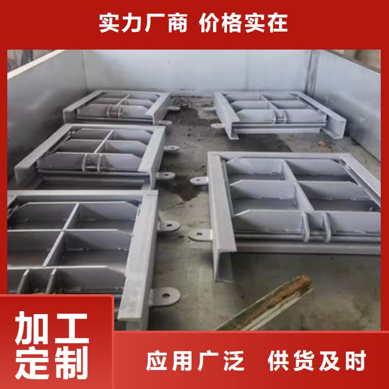 不锈钢闸门捞污珊精选厂家好货