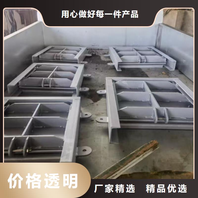不锈钢闸门,捞污珊可接急单