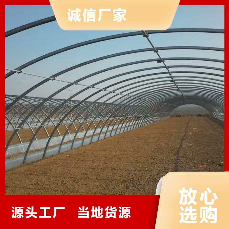 镀锌大棚管-超厚紫铜排准时交付