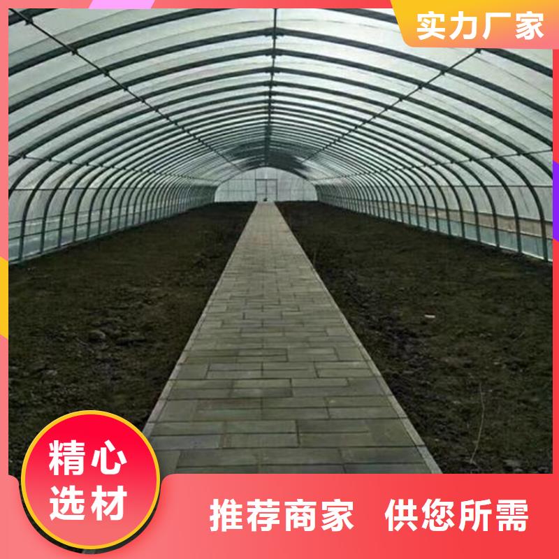 镀锌大棚管 无氧紫铜排专业生产N年