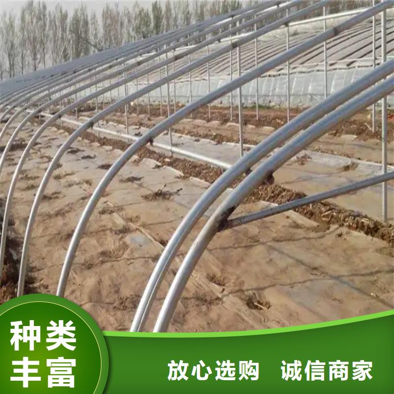 镀锌大棚管镀锌方管支持定制