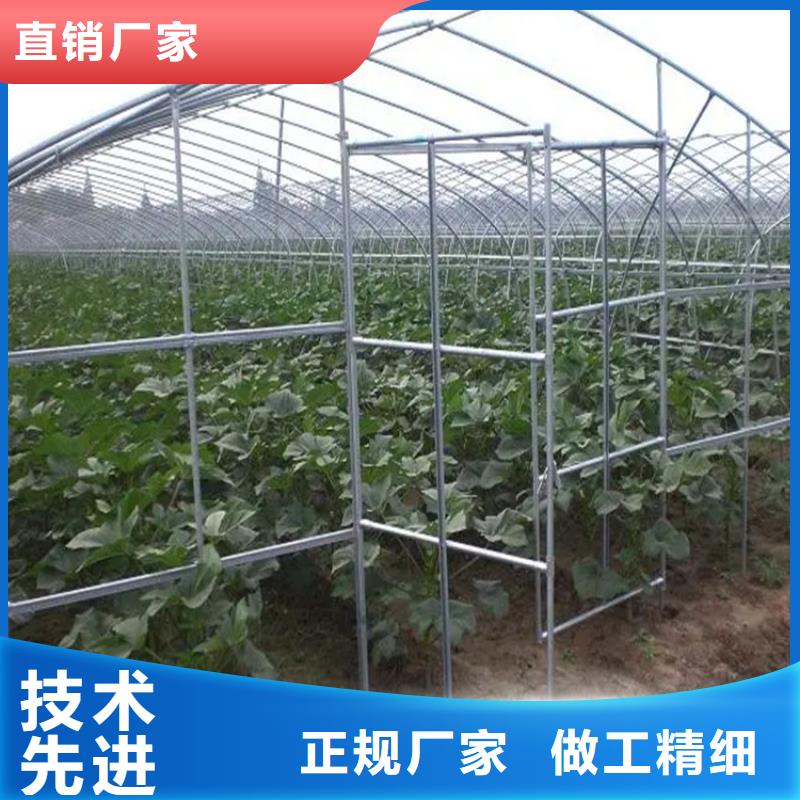连栋大棚管|连栋温室大棚管有现货