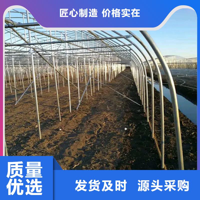 镀锌大棚管带紫铜排品质不将就