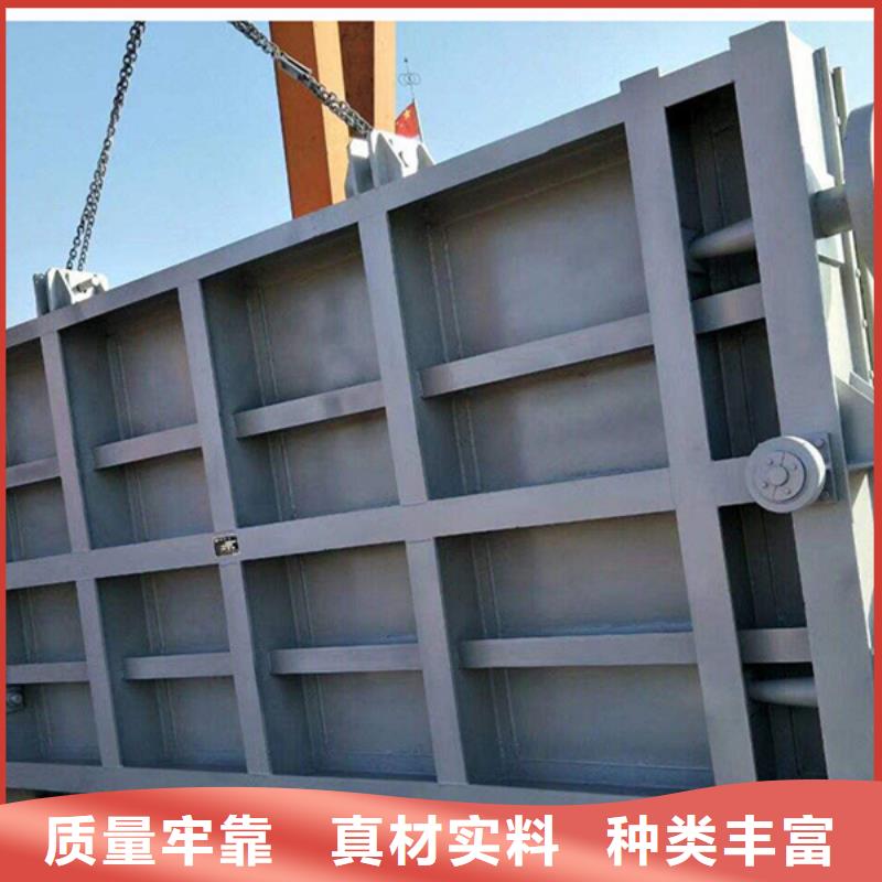 本地的水库钢制闸门厂家