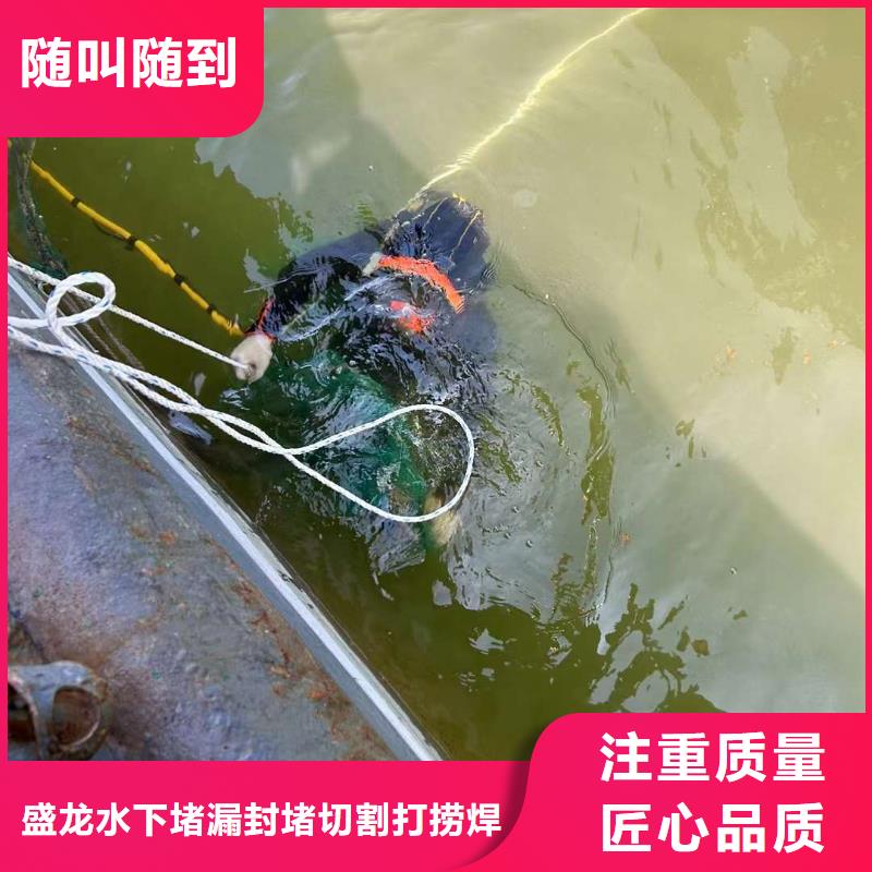 水下水下摄影免费咨询