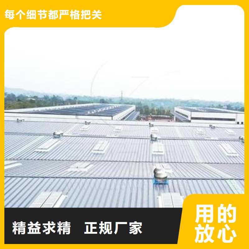 TC5A通风气楼价格公道
