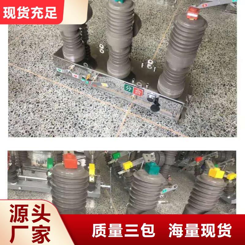 真空断路器高压氧化锌避雷器一致好评产品