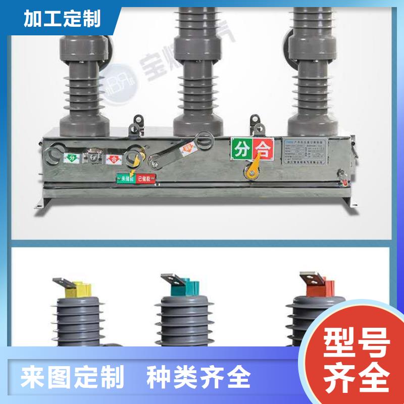 真空断路器【XRNT-12KV熔断器】欢迎来电询价