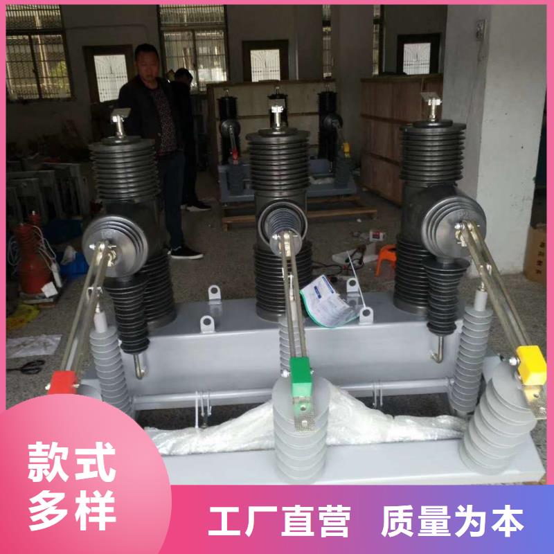 真空断路器户外跌落式避雷器当地厂家值得信赖