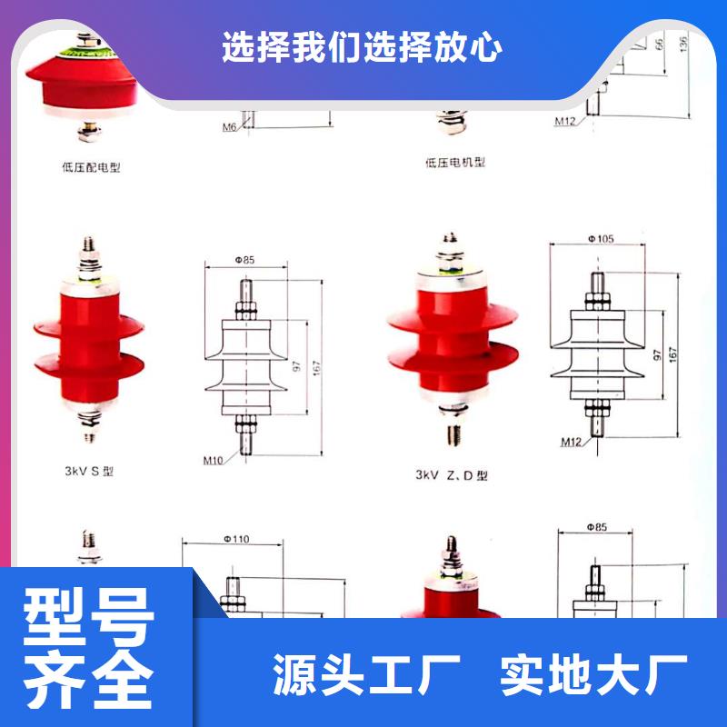 氧化锌避雷器户内高压真空断路器本地厂家值得信赖