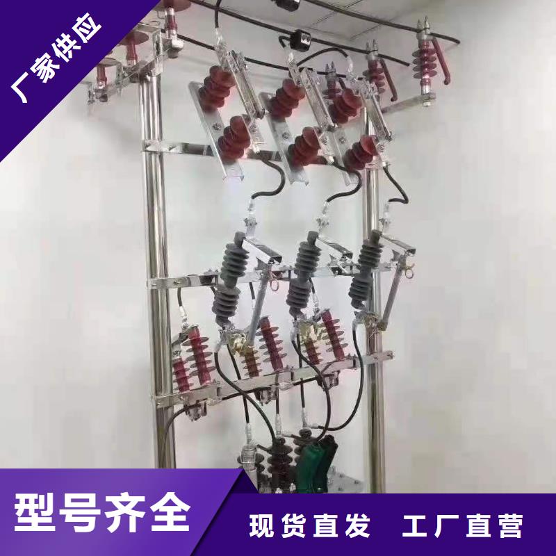 跌落式熔断器【XRNP-10KV高压限流熔断器】精心选材