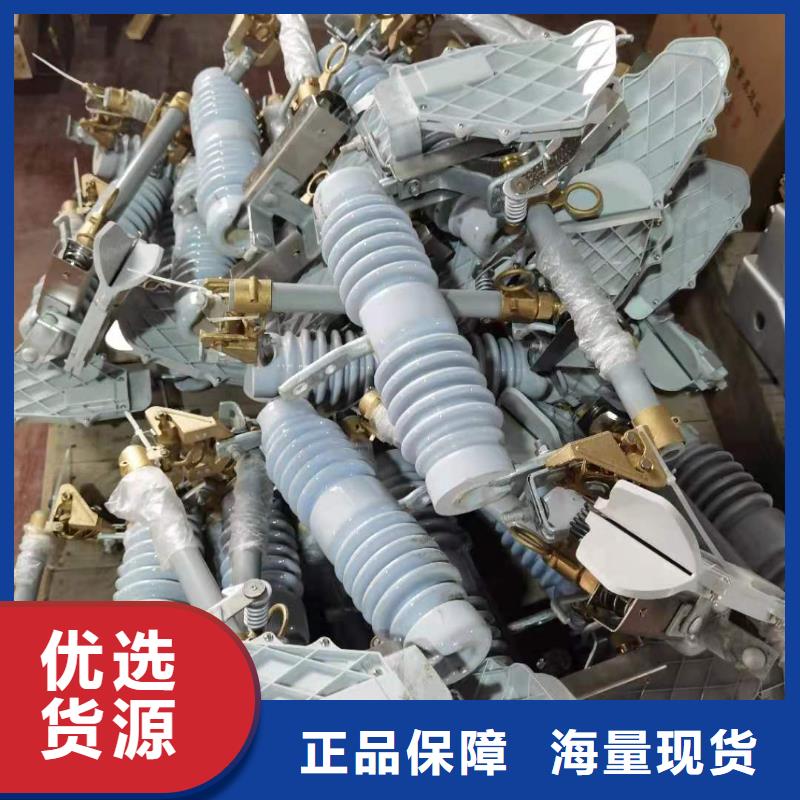 跌落式熔断器【XRNP-10KV高压限流熔断器】精心选材