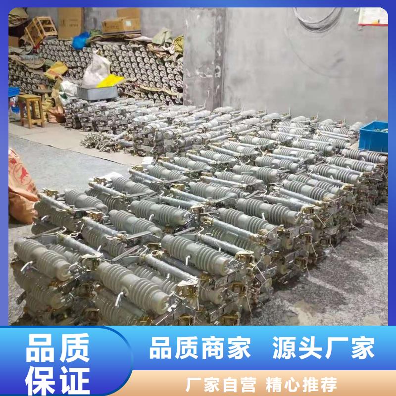 跌落式熔断器【高压限流熔断器】经验丰富品质可靠