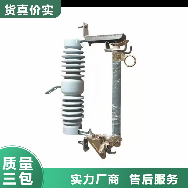 跌落式熔断器【XRNP-10KV高压限流熔断器】精心选材