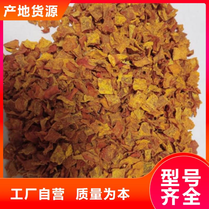 南瓜丁【菠菜粉厂家】订制批发