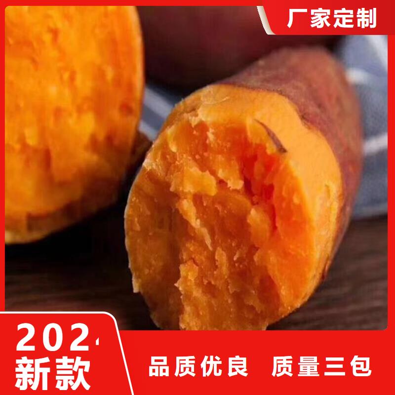 羽衣甘蓝粉视频-羽衣甘蓝粉-辽宁省沈阳市附近生产商-辽中|新民|本溪|鞍山|锦州|丹东